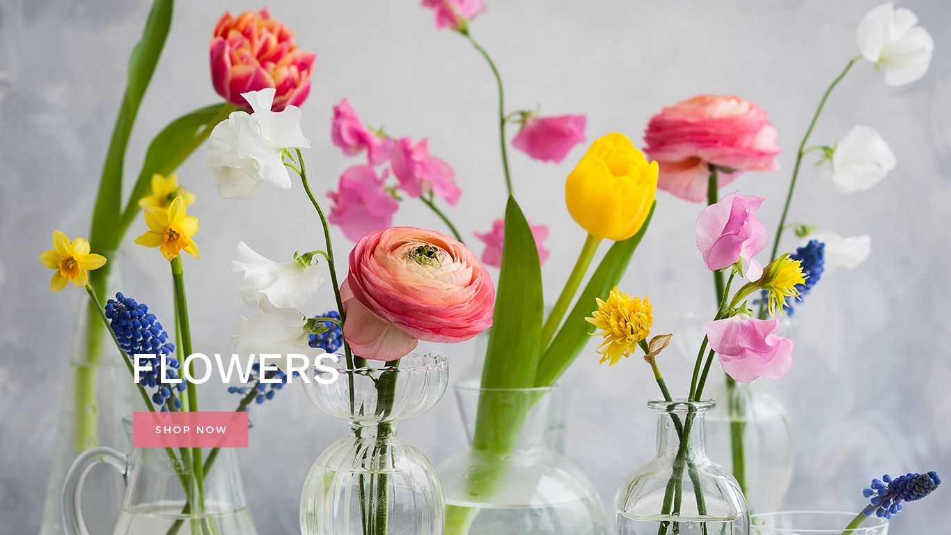  banner for Default Store View